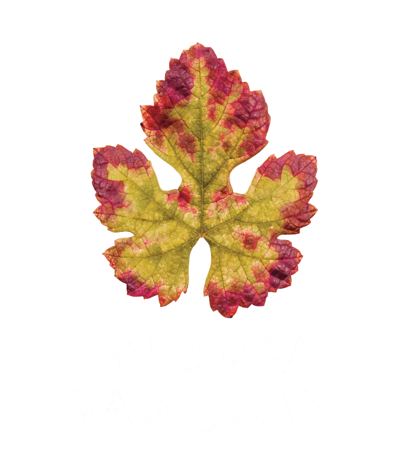 Bodega San Juan