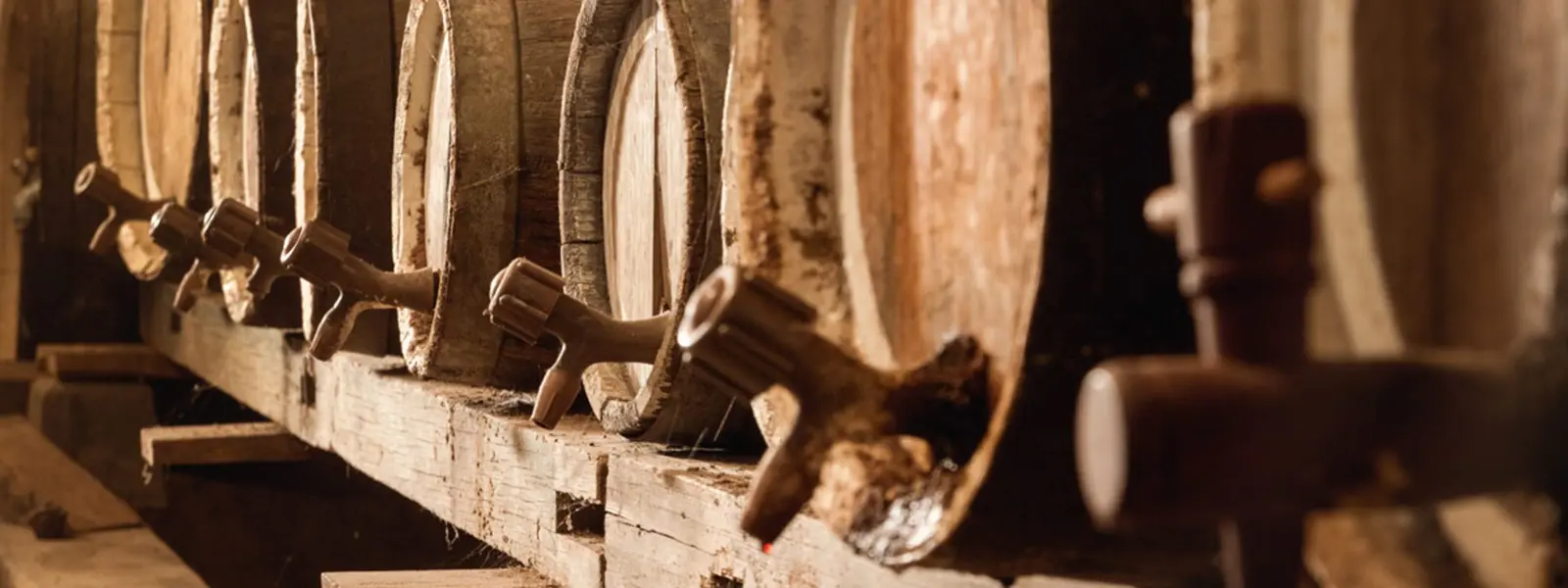 Detalle del interior de la bodega